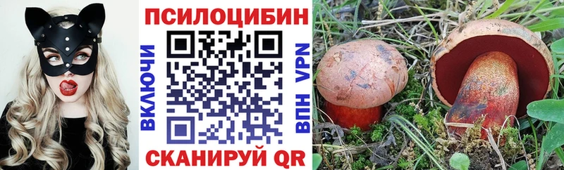 Псилоцибиновые грибы прущие грибы  блэк спрут вход  Кемь 